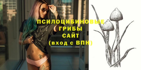 не бодяженный Беломорск
