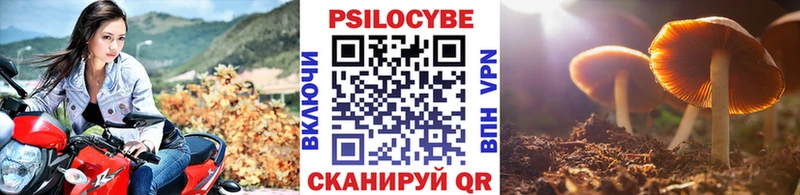 ссылка на мегу ТОР  Балей  Псилоцибиновые грибы MAGIC MUSHROOMS  купить  цена 